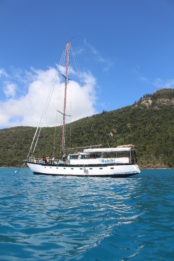 15+ Top Habibi Sailing Whitsundays Tour