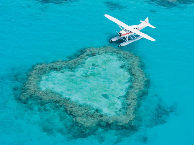 43+ Best Melbourne To Whitsundays Drive Excursion