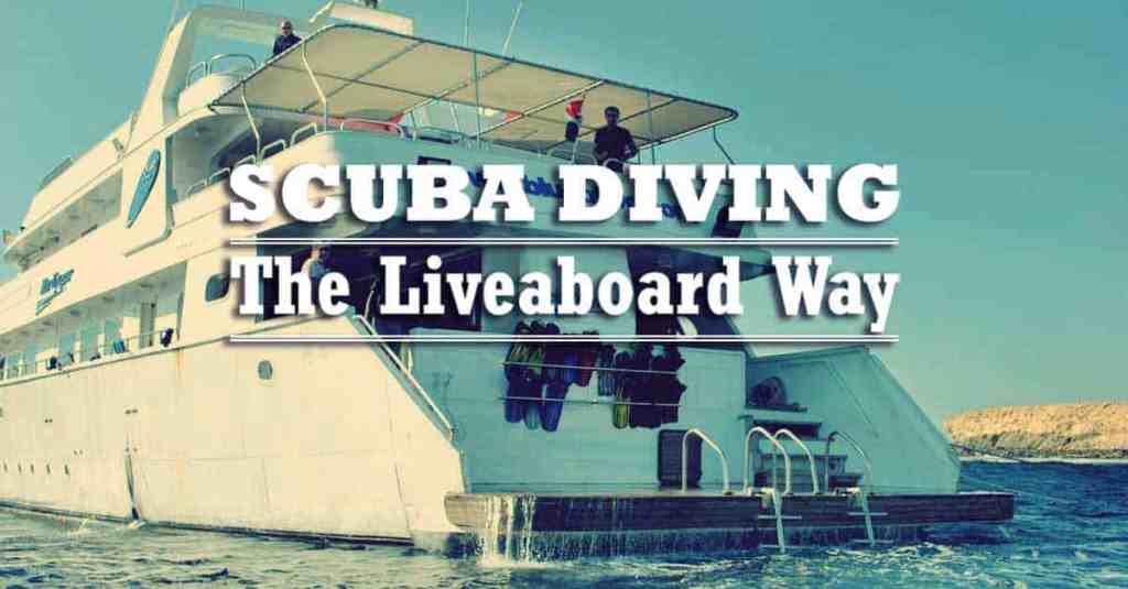 38+ Amazing Liveaboard Dive&nbsp;Excursion