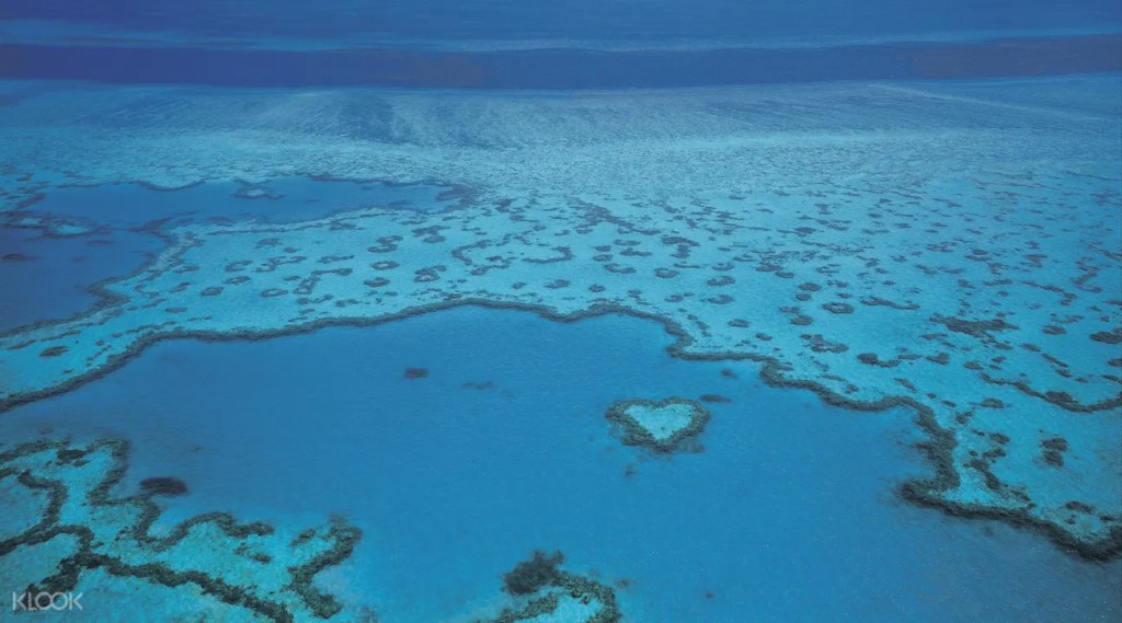 21+ Top Full Day Great Barrier Reef Adventure With Cruise Whitsundays&nbsp;Holiday