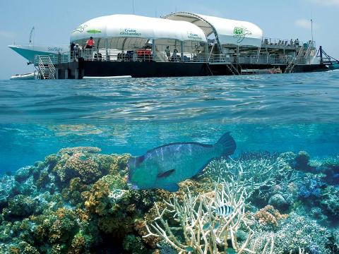26+ Wonderful Great Barrier Reef Adventure Cruise Whitsundays Tour