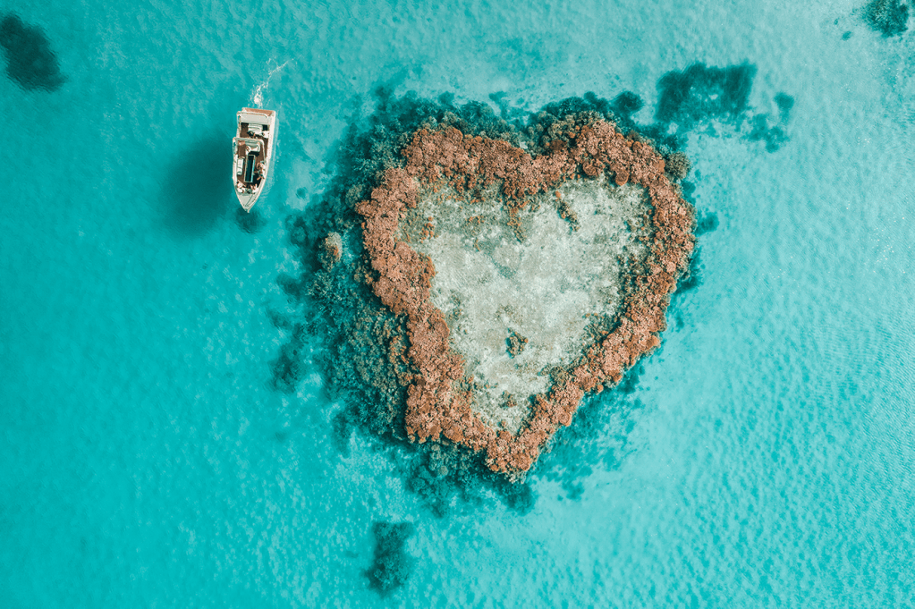 14+ Amazing Great Barrier Reef Tours Whitsunday Islands&nbsp;Sightseeing