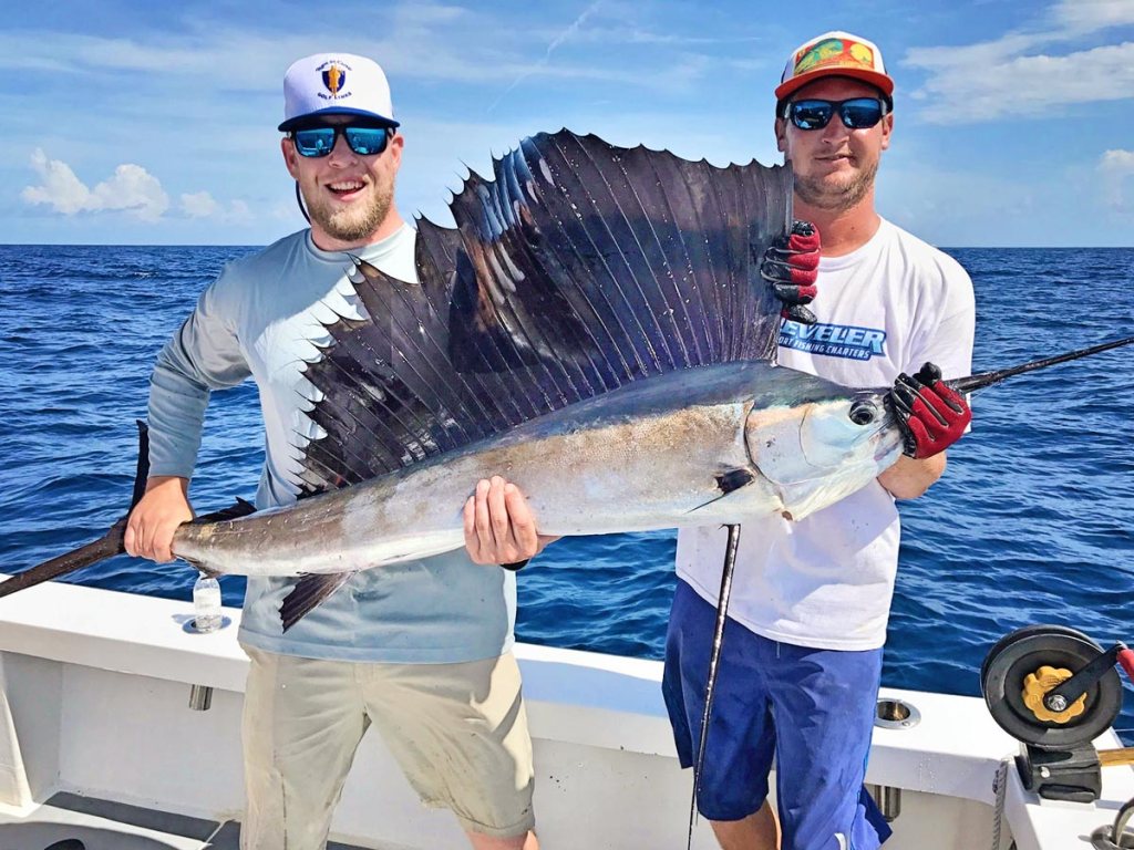 17+ Wonderful Fishing Florida Charters&nbsp;Sightseeing