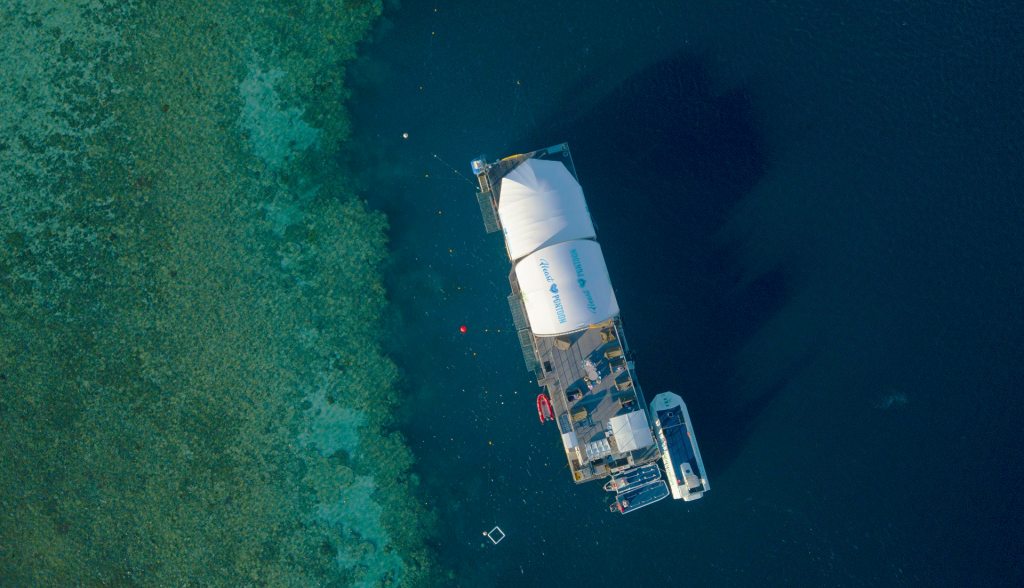 45+ Wonderful Cruise Whitsundays.com&nbsp;Sightseeing