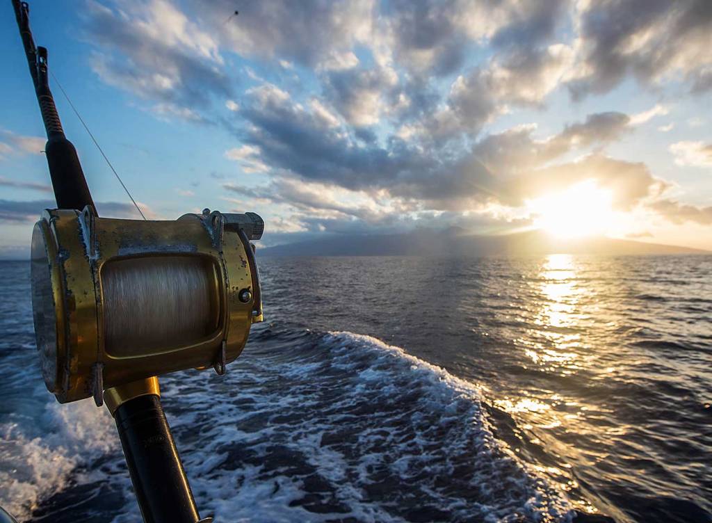 49+ Amazing Fishing Charters Near Me Inshore&nbsp;Holiday