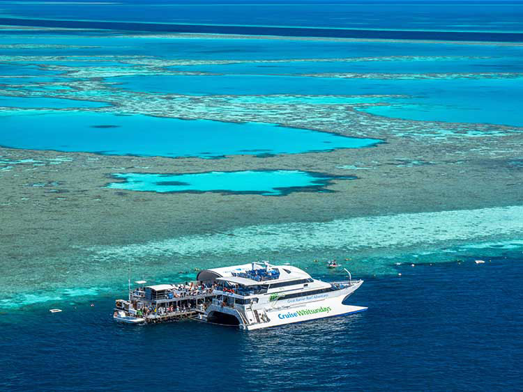 50+ Best Cruise Whitsunday Half Day&nbsp;Trip