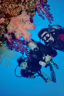 18+ Top Cruise Whitsundays Diving&nbsp;Tour