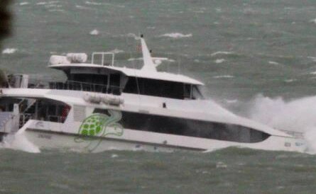 28+ Wonderful Cruise Whitsundays Marina Holiday