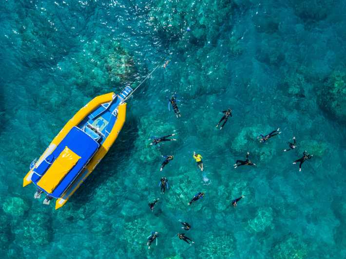 12+ Top Whitsundays Outer Reef Tour Excursion