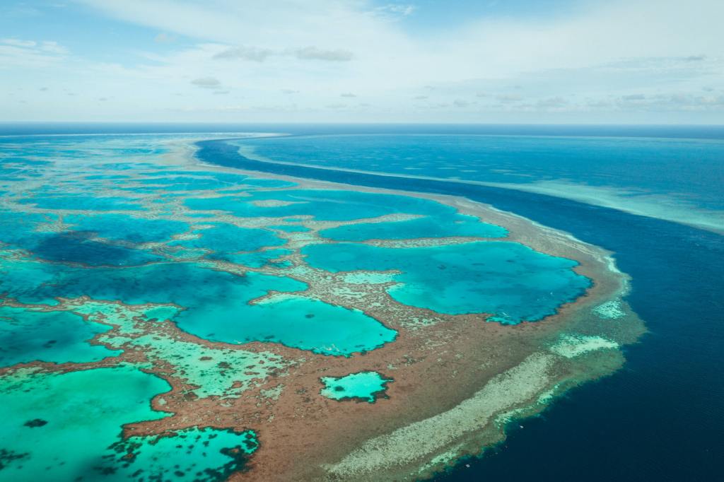 28+ Top Cruise Whitsunday Specials&nbsp;Sightseeing