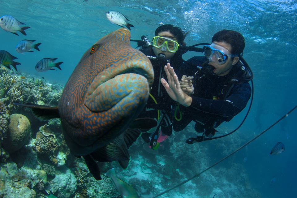 18+ Top Great Barrier Reef And Whitsundays&nbsp;Sightseeing